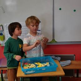 réaliser des puzzles des nombres de 0 à 10, les placer dans l'ordre, lire les nombres dans l'ordre et dans le désordre;