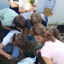 Un temps pour planter les bulbes et les fleurs.