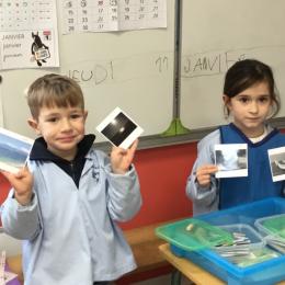 associer des images contraires : activité mathématique et de vocabulaire : chaud/froid, ouvert/fermé...