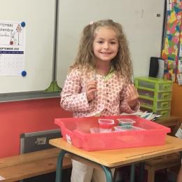 trier de sgraines blanches et jaunes à l'aide d'une pince à épiler