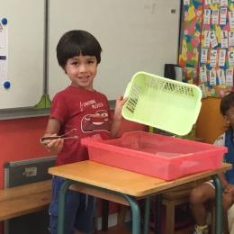attraper des animaux en plastiques placés dans un panier recouvert d'un filet avec une pince sans les faire tomber et passer entre les mailles du filet