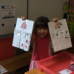 classer des images pour dire si le sobjets représentés sont doux ou piquants, nommer le plus d'objets possible, 