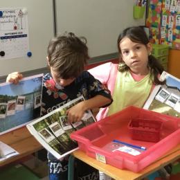 classer des animaux selon leur lieux de vie